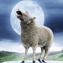 Uživatelský avatar