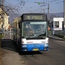 Uživatelský avatar