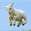 Uživatelský avatar