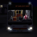 Uživatelský avatar