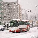 Uživatelský avatar