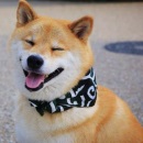 Uživatelský avatar