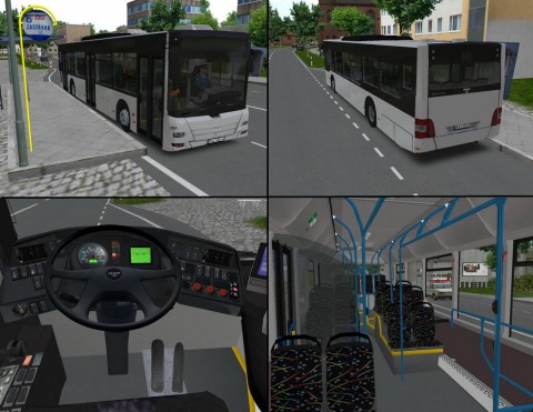 lion_Změnit velikost.jpg