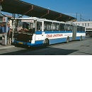 Uživatelský avatar