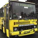 Uživatelský avatar