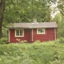 Uživatelský avatar