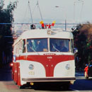 Uživatelský avatar