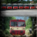 Uživatelský avatar