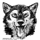 Uživatelský avatar