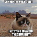 Uživatelský avatar