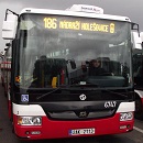 Uživatelský avatar