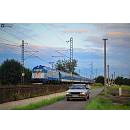 Uživatelský avatar