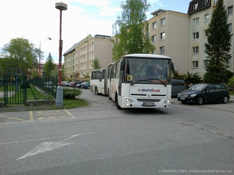 47099.jpg