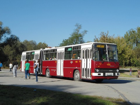 DSC03358.jpg