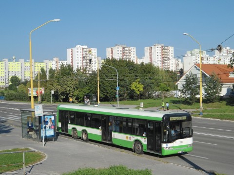 Jazvečik1.jpg