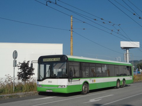 Jazvečik2.jpg