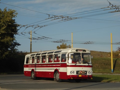 eŠDa.jpg