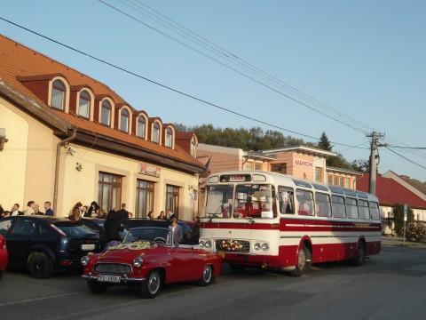 eŠDa3.jpg
