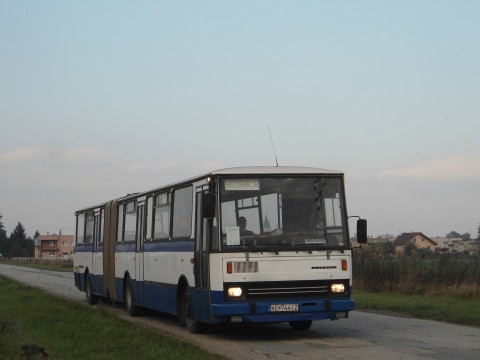 7441.jpg