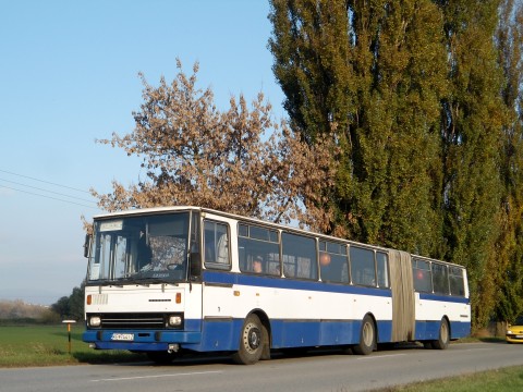 7442.jpg