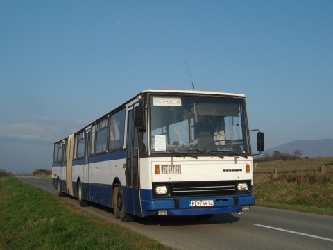 7443.jpg