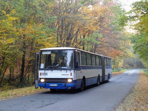 7444.jpg