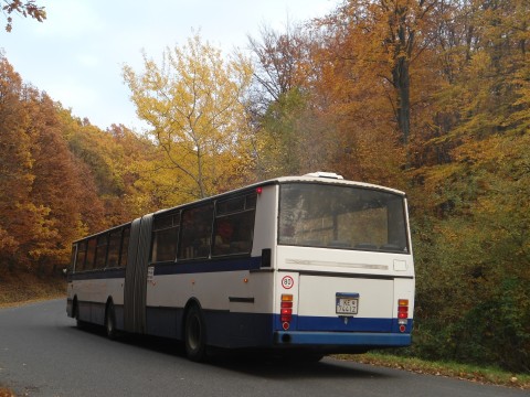 7445.jpg