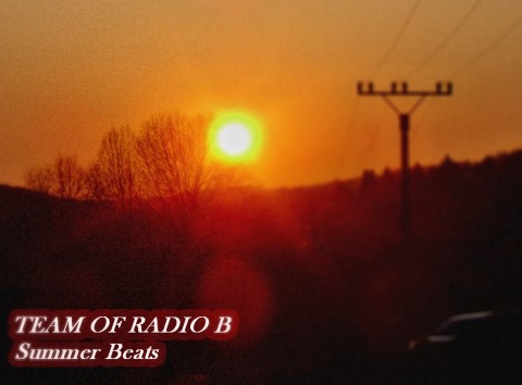 Team of Radio B - Summer Beats.JPG