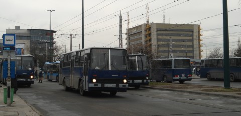 5x200_ors_vezer_teref.jpg