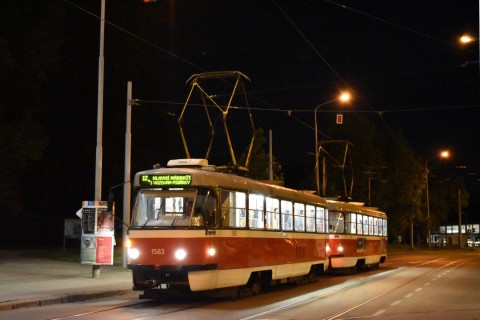 DSC_0385.jpg