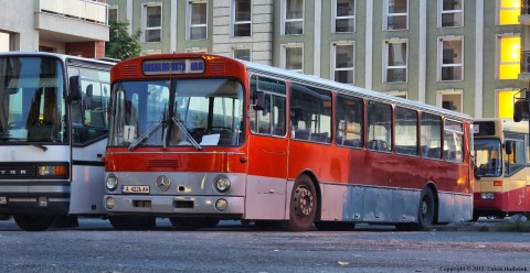 IMG_4736_fhdrmalyforko.jpg